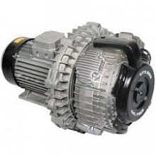   STS800 (800 /)  1122020598 FIAC